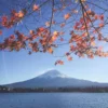 TOKYO MT FUJI, JAPAN